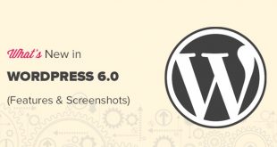 Что нового в обновлении WordPress 6.0