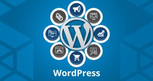 wordpress 6.0.3