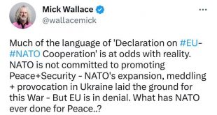 В Европарламенте обвинили НАТО в провоцировании конфликта между Россией и Украиной