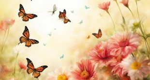 открытка бабочка